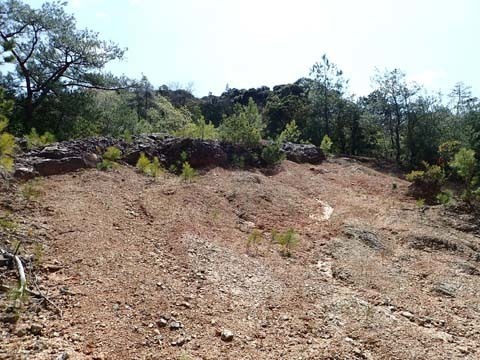 豊橋の地名 石巻町赤ザリ 夢のなか人